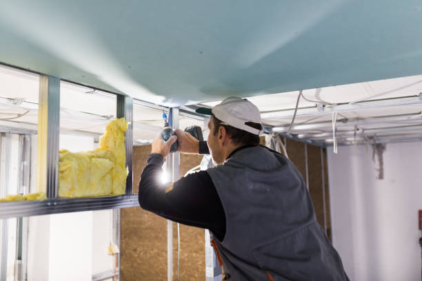 Insulation Replacement Services